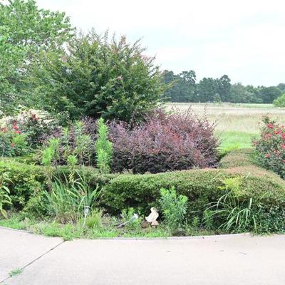 Sale Photo Thumbnail #133