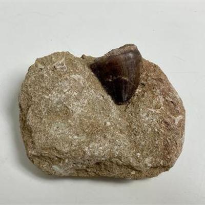 Sale Photo Thumbnail #31