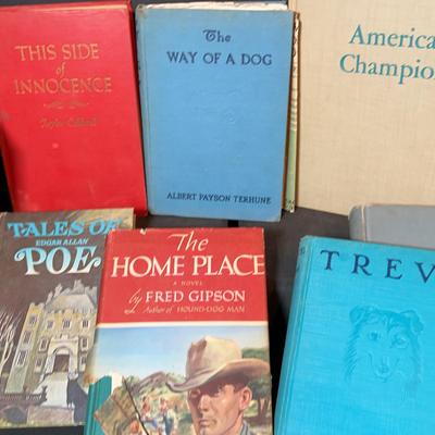 Lot Of Vintage Books.