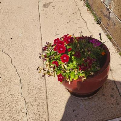 Sale Photo Thumbnail #35
