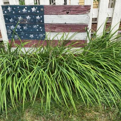 Rustic Americana 