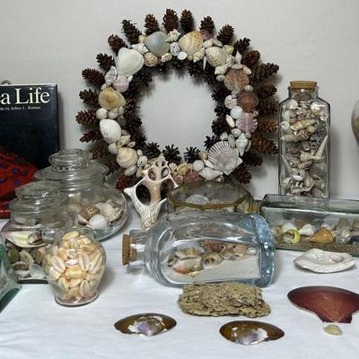Sea Shell Galore!