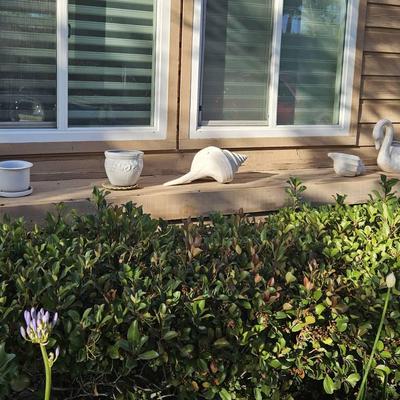 White Front Yard Ceramic Painters 