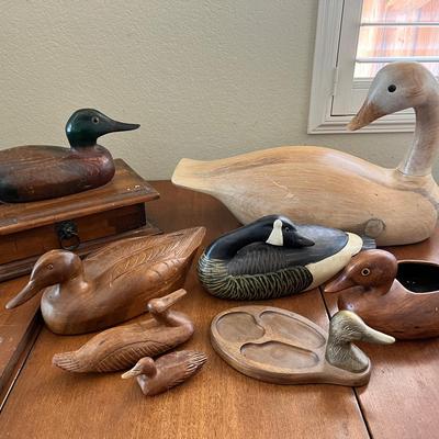 Ducks, Ducks & More Ducks!