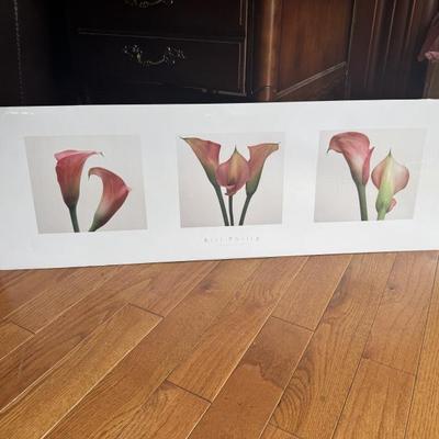 Sale Photo Thumbnail #535