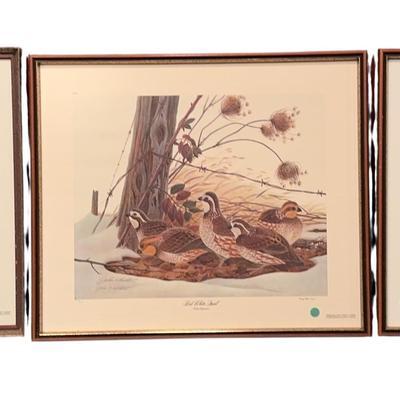 Set Of 3 Framed Wildlife Prints 