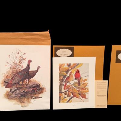 Limited Edition Wildlife Prints 