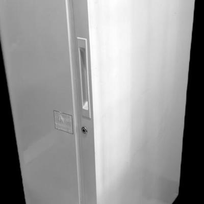 Wood’s Frost-Free Upright Freezer - Working!