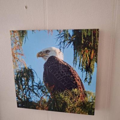 Sale Photo Thumbnail #59