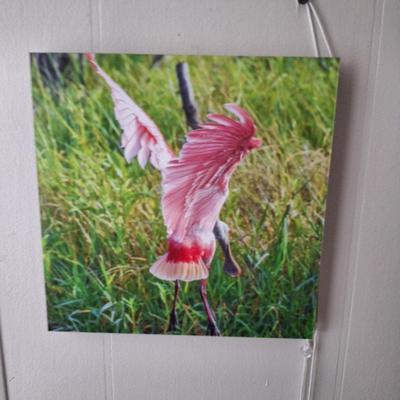Sale Photo Thumbnail #55