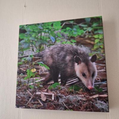 Sale Photo Thumbnail #57