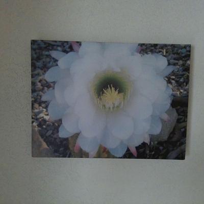Sale Photo Thumbnail #94