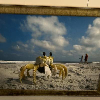 Sale Photo Thumbnail #178