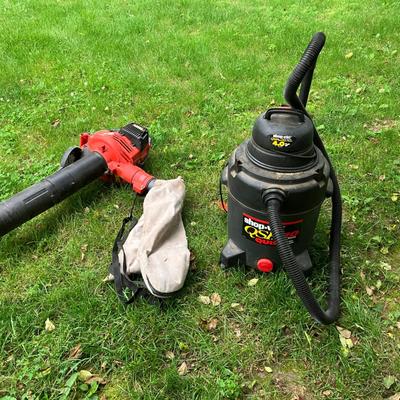 QSP 10 Gallon Shop Vac and Craftsman Gas-Powered Leaf Blower/Vacuum