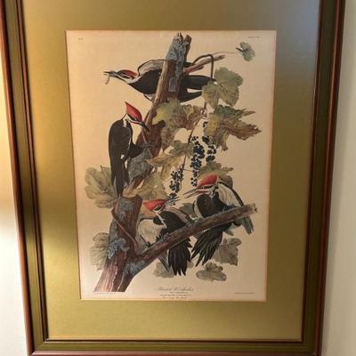 Framed Woodpecker Artwork 