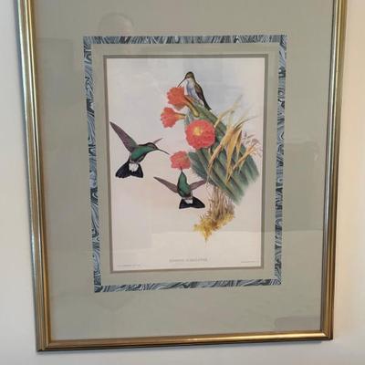 Framed Hummingbird Artwork 