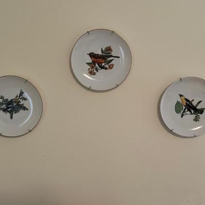 Assorted Bird Decorative Plates 