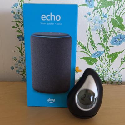 Echo and Teardrop Vocal Weather & Time Reporter 