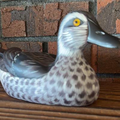 Wood Duck