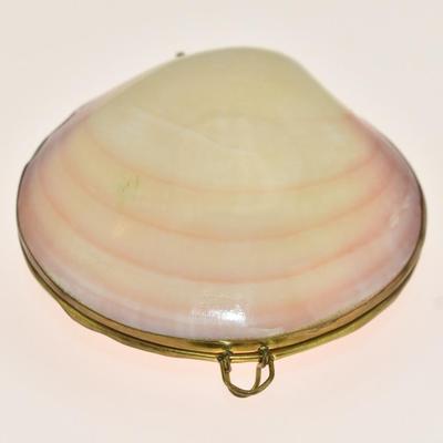 Vintage Natural Shell Trinket Box