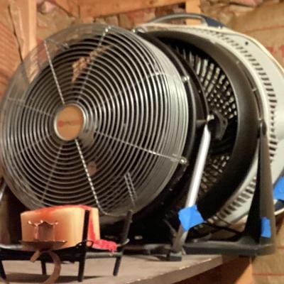 Fan assorted