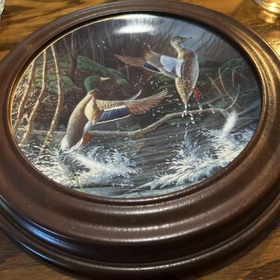 Collector plate michael budden aloft