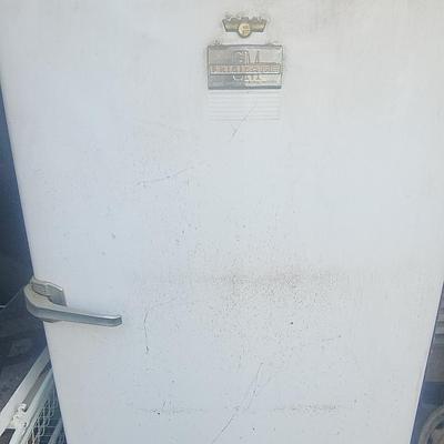 GM Frigidaire Refrigerator 