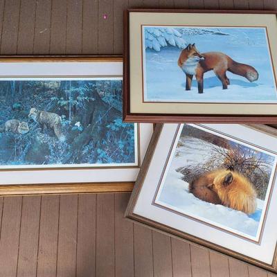 Trio of Fox Prints (LR)