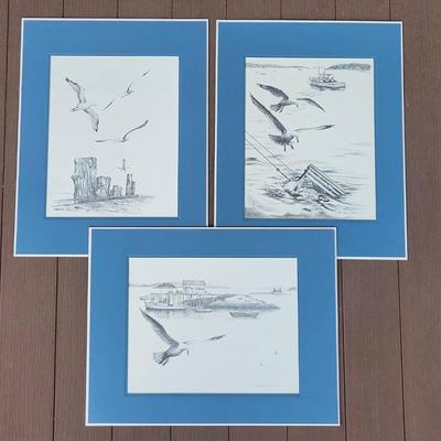 Seagull Prints by Morris & Henba (FH)