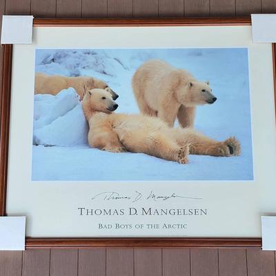 "Bad Boys of the Arctic" by Thomas D. Mangelsen (FH)