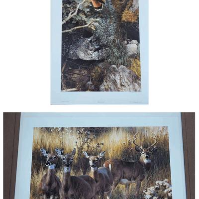 Unframed Wildlife Prints by Brenders (FH)