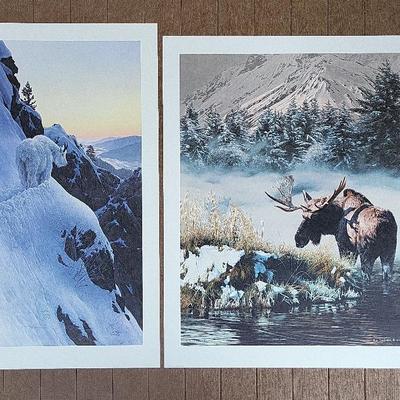 Unframed Wildlife Prints by Frederick & Lyman (FH)