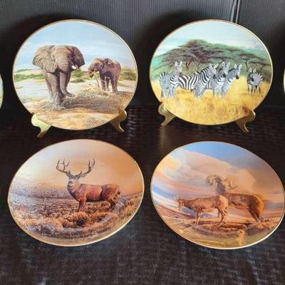 Africa Collector Plates + (BR2)