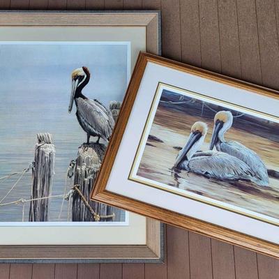 Pelican Prints by Bateman & Fernandez (LR)