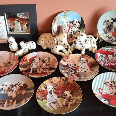 Dalmatian Lot (LR)
