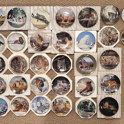 Collector Plate Variety #2 (B)