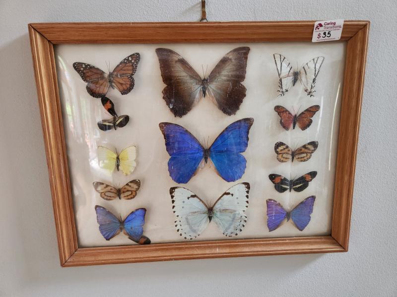 Sale Photo Thumbnail #5