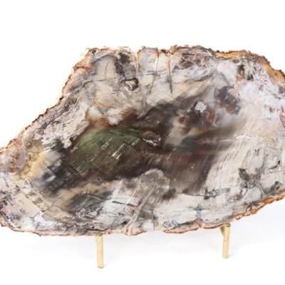 Sale Photo Thumbnail #275: Lot 276 gorgeous petrified wood slab wstand