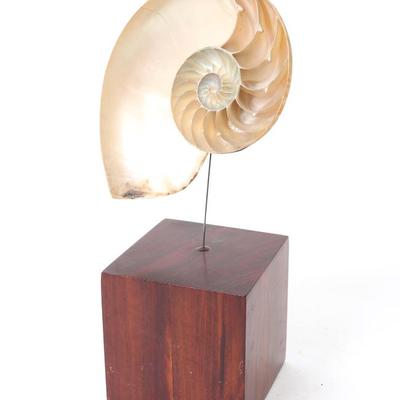 Sale Photo Thumbnail #278: Lot 279 mounted nautilus half shell