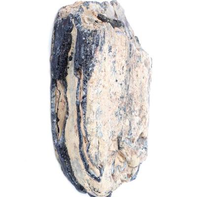 Sale Photo Thumbnail #269: Lot 270 ancient woolly mammoth molar section