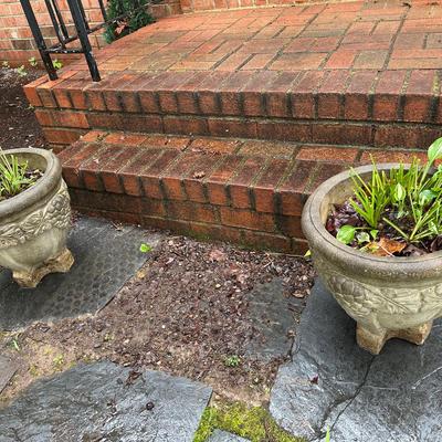 Pair Of Grapevine Motif  Concrete Planters 