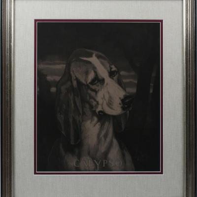 Sale Photo Thumbnail #370