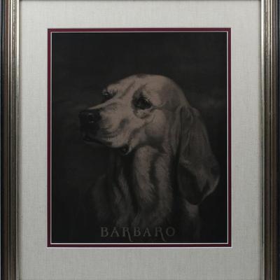 Sale Photo Thumbnail #369