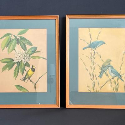 Pair of Vintage Audubon Bird Prints #1