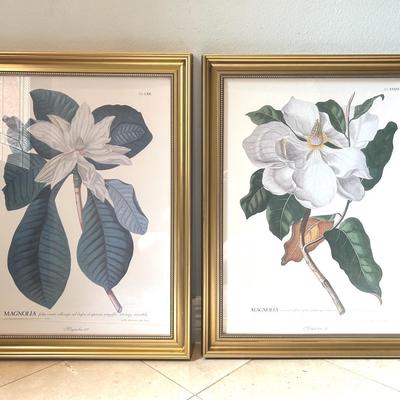 Magnolia Framed Art Print Set