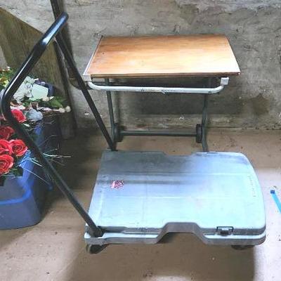 Outdoor/Garage Carts