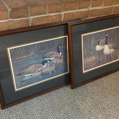 Raymond Bell Prints of Canada Geese