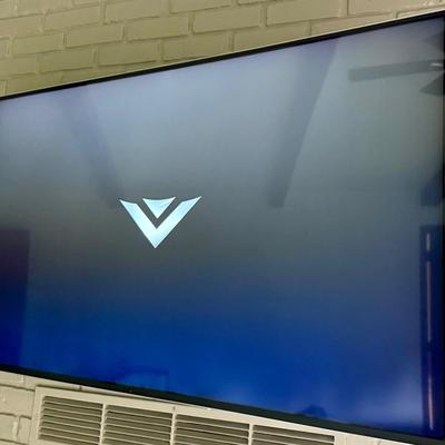 Vizio 48 Inch LED HDTV TV With Remote 