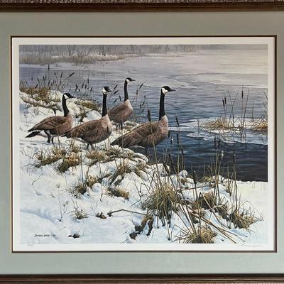 Signed and Numbered Offset Print “Among the Cattails - Canada Geese