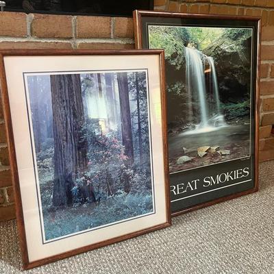 Pair of Nature Photography Prints